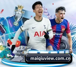 maiqiuview.com.cn APP 界面
